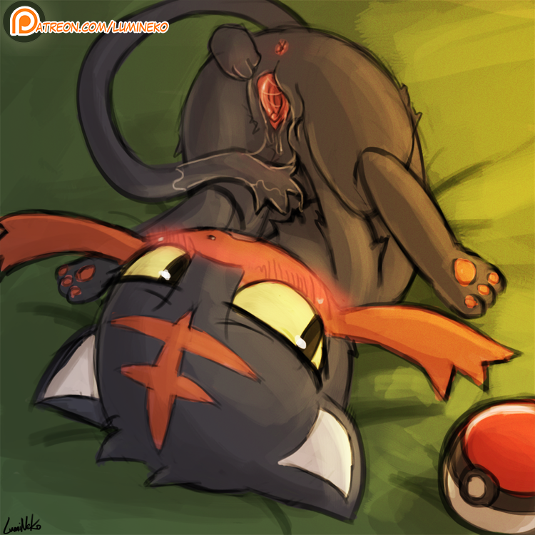 Rule34 – If it exists, there is porn of it / lumineko, litten / 307481