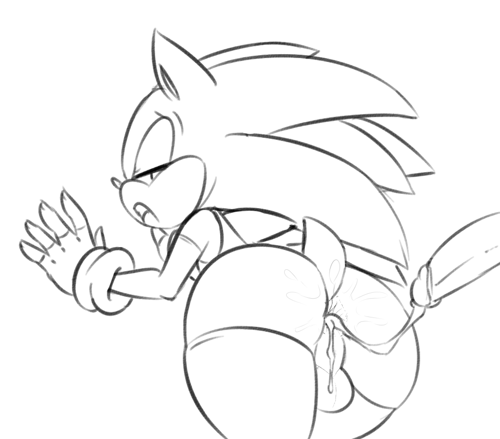 Rule34 – If it exists, there is porn of it / thecon, sonic the hedgehog / 307820