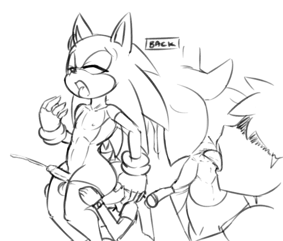 Rule34 – If it exists, there is porn of it / thecon, sonic the hedgehog / 307839