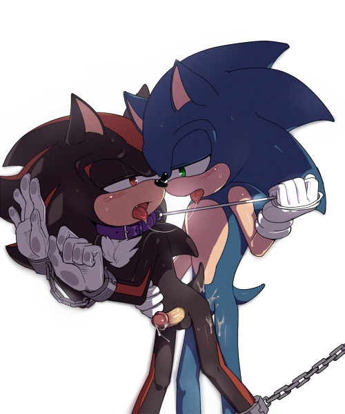 Rule34 – If it exists, there is porn of it / 7624cq, shadow the hedgehog, sonic the hedgehog / 308482