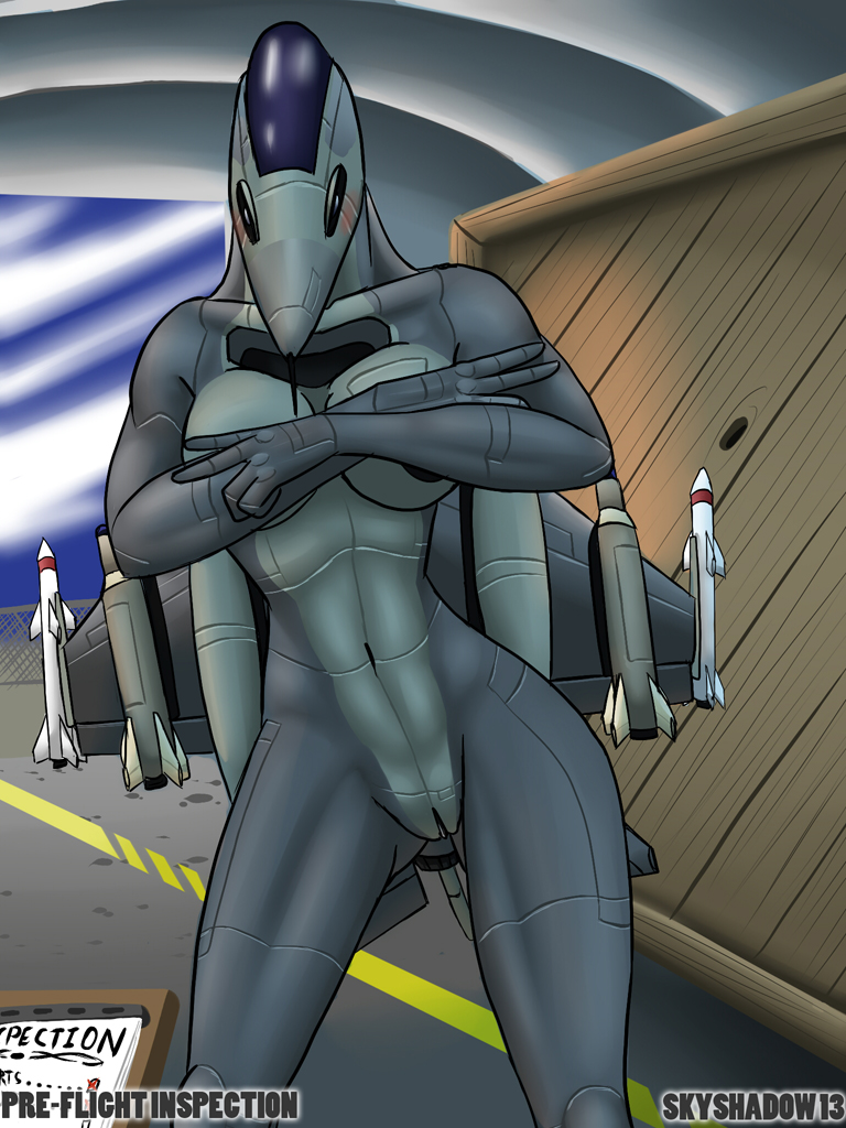 Rule34 – If it exists, there is porn of it / skyshadow (artist) / 308899