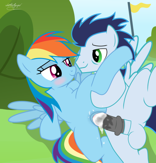 Rule34 – If it exists, there is porn of it / shutterflyeqd, rainbow dash (mlp), soarin (mlp), wonderbolts (mlp) / 309695