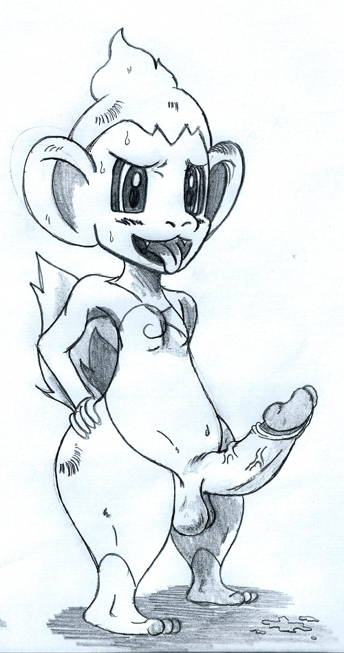 Rule34 – If it exists, there is porn of it / pokehard, chimchar / 309927