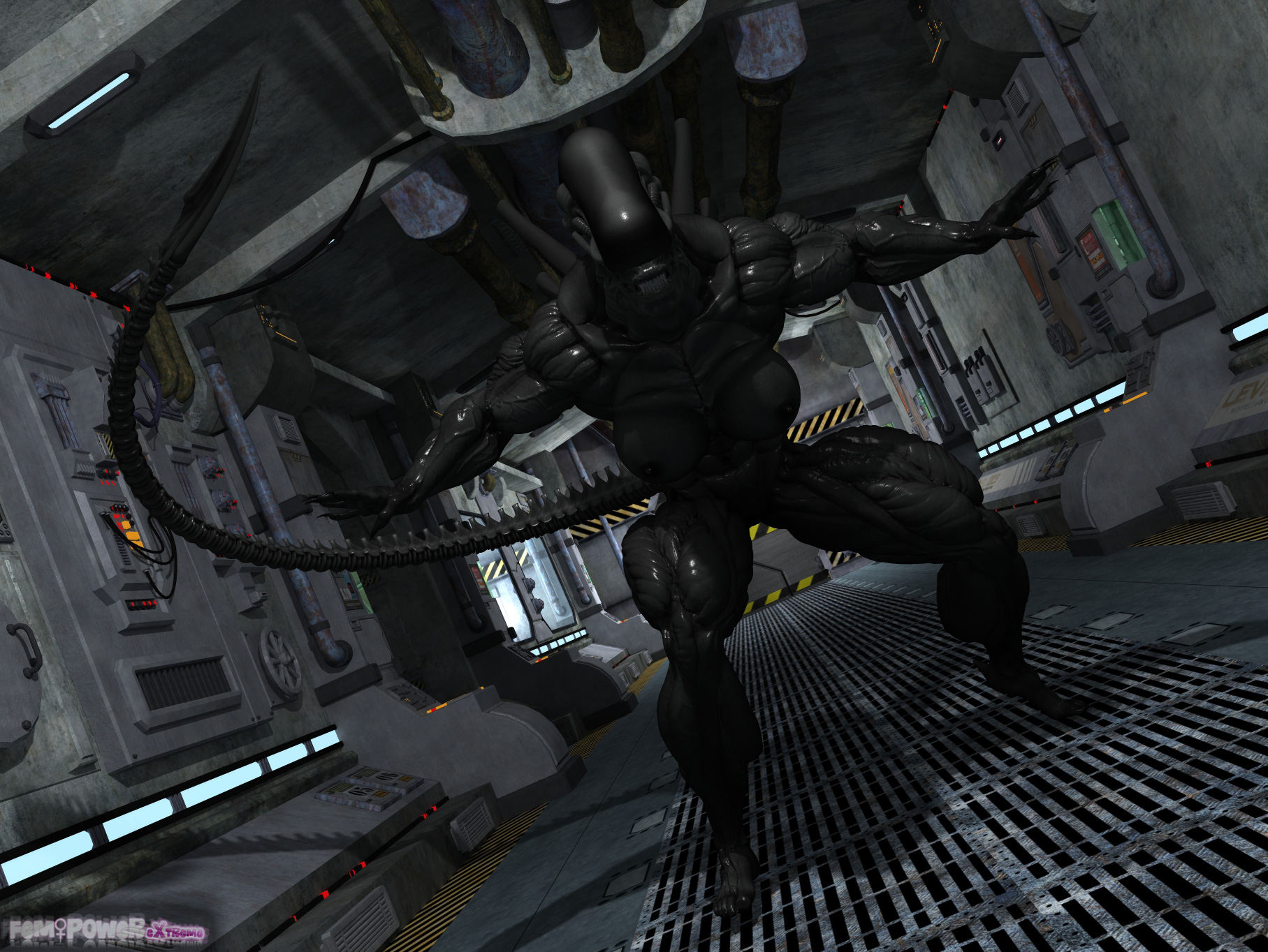 Rule34 – If it exists, there is porn of it / tigersan, xenomorph / 312509