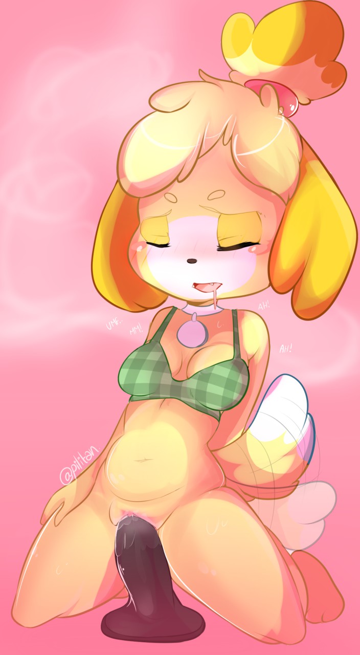 Rule34 – If it exists, there is porn of it / lilnyams, isabelle (animal crossing) / 312624