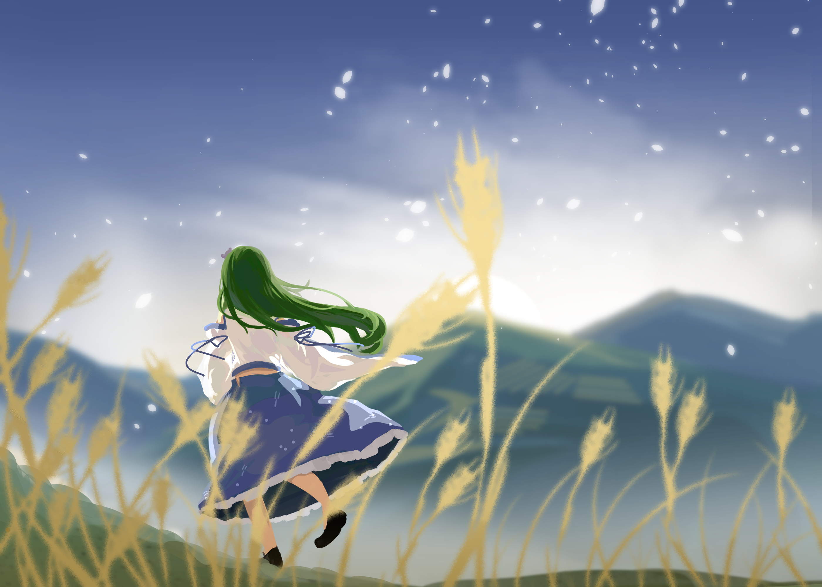 furahata gen, kochiya sanae, touhou, highres, 1girl, blue ribbon, blue skirt, detached sleeves, falling petals, floating, frilled skirt, frills, frog hair ornament, from behind, green hair, hair ornament, long hair, long skirt, looking afar, mountain, nontraditional miko, petals, ribbon, shirt, skirt, sleeve ribbon, solo, wheat, white shirt, white sleeves
