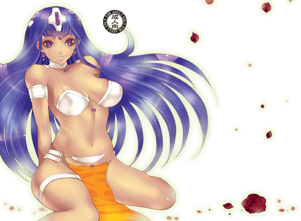 murata tomohide, manya (dq4), chunsoft, dragon quest, dragon quest iv, enix, bad id, bad pixiv id, 1girl, dark-skinned female, dark skin, female focus, long hair, pelvic curtain, purple eyes, purple hair, solo