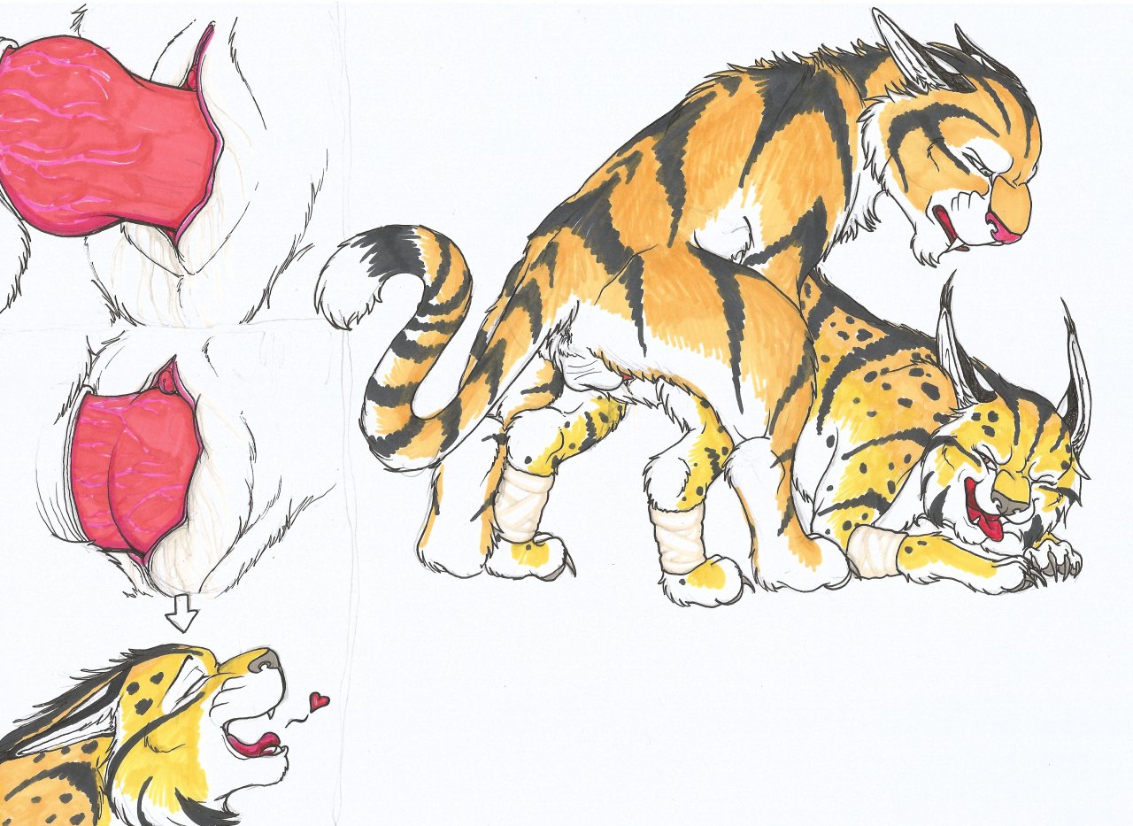 Rule34 – If it exists, there is porn of it / sketchkat / 313679