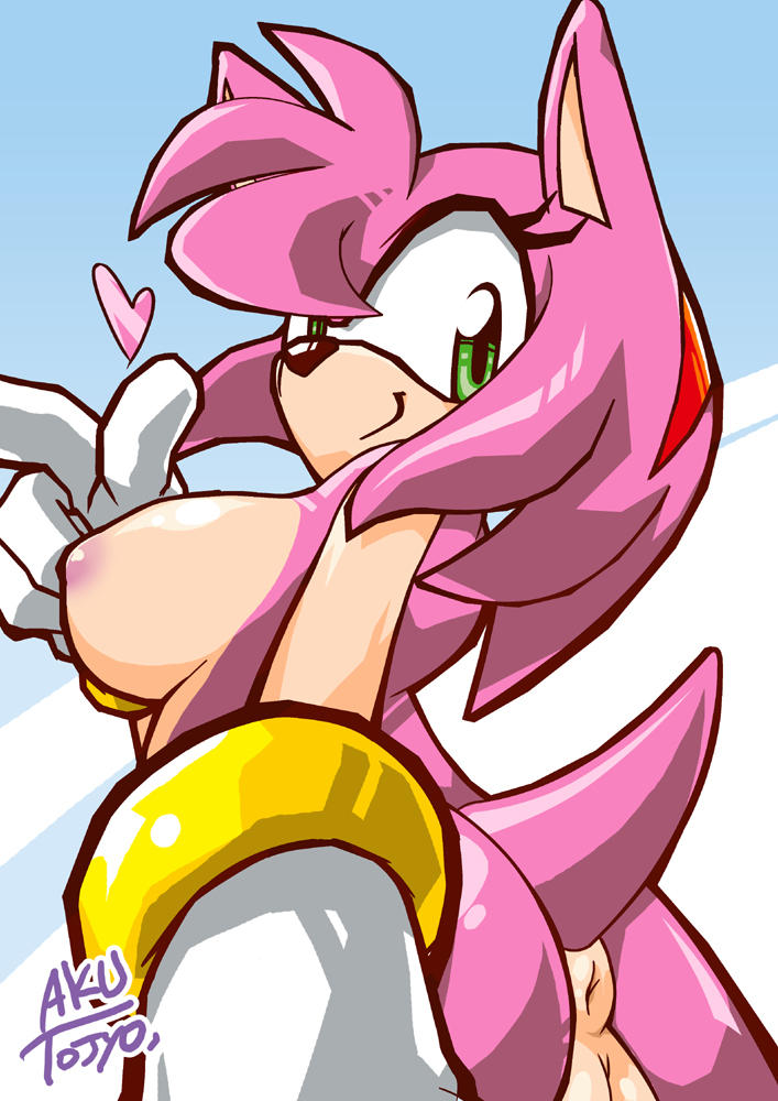 Rule34 – If it exists, there is porn of it / amy rose / 313696