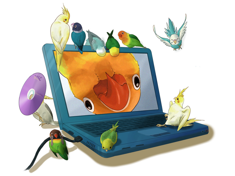 asio-otus, original, commentary request, animal, beak, bird, cable, cockatiel, computer, feathers, hard drive, laptop, no humans, parrot, simple background