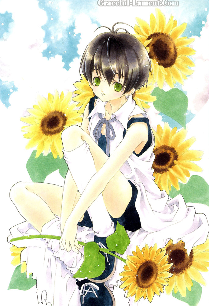 azumi tooru, tohru adumi, flower, green eyes, ribbon, socks, solo, sunflower