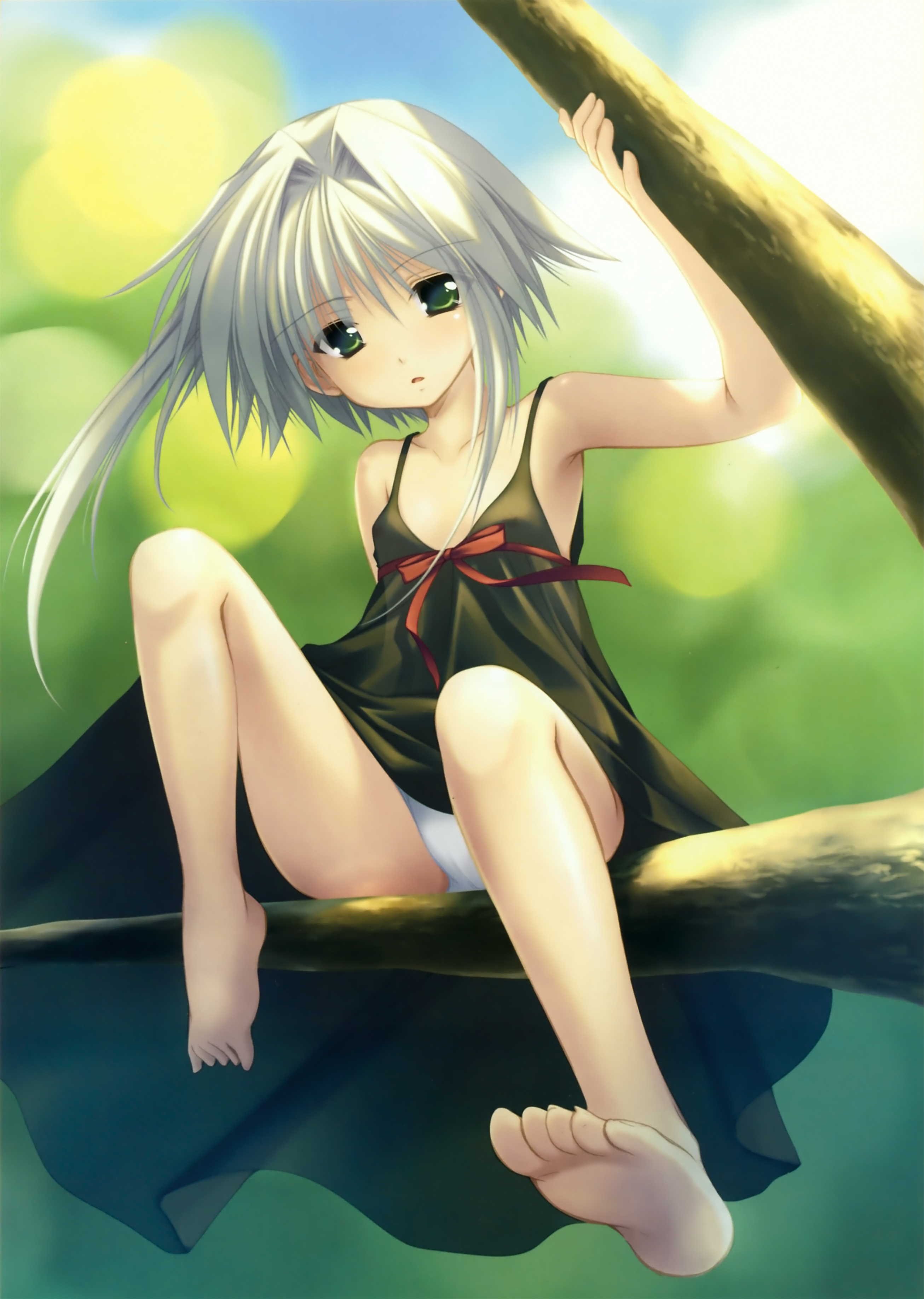 azuma yuki, sora (stellar theater), stellar theater, absurdres, highres, 1girl, barefoot, cameltoe, dress, feet, female focus, flat chest, green eyes, in tree, loli, long hair, outdoors, panties, pantyshot, sitting, sitting in tree, soles, solo, toes, tree, underwear, upskirt, white hair, white panties