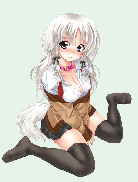 animal ears, blue eyes, blush, breasts, cleavage, collar, covered erect nipples, dog ears, large breasts, school uniform, simple background, tail, thighhighs, white hair