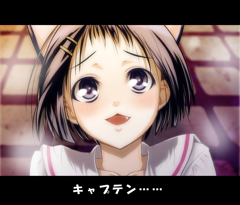 hachisuzume shijimi, ikeda kana, saki (manga), bad id, bad pixiv id, 00s, :3, animal ears, black hair, cat ears, fang, grey eyes, hair ornament, hairclip, letterboxed, open mouth, school uniform, short hair, solo