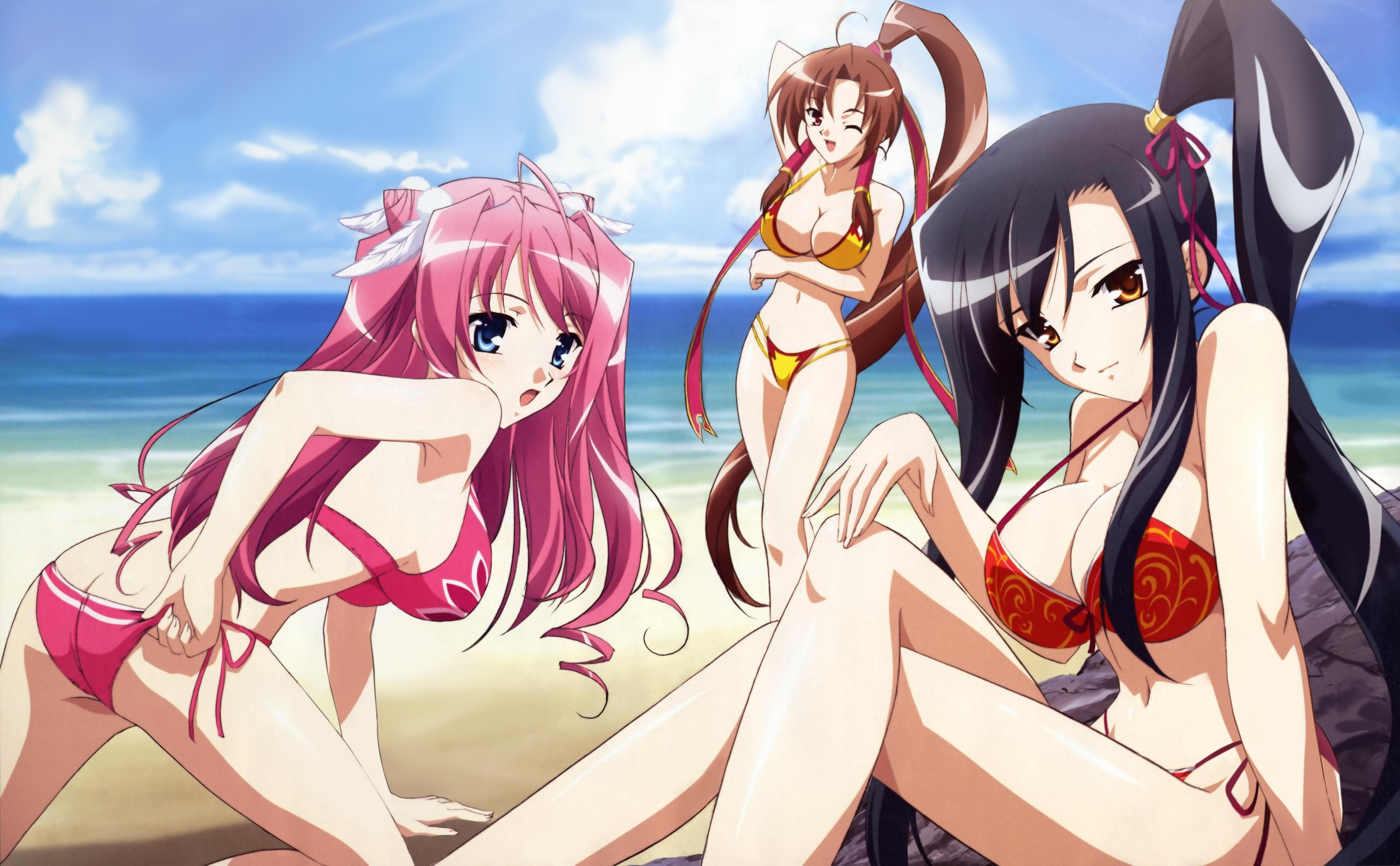 hiratsuka tomoya, bachou (koihime musou), kan'u (koihime musou), ryuubi (koihime musou), koihime musou, absurdres, detexted, highres, non-web source, official art, third-party edit, 00s, 3girls, ass, beach, bikini, black hair, breasts, brown eyes, brown hair, butt crack, cleavage, cloud, cone hair bun, day, hair bun, large breasts, long hair, multiple girls, ocean, open mouth, outdoors, pink hair, ponytail, side-tie bikini bottom, sky, swimsuit, very long hair