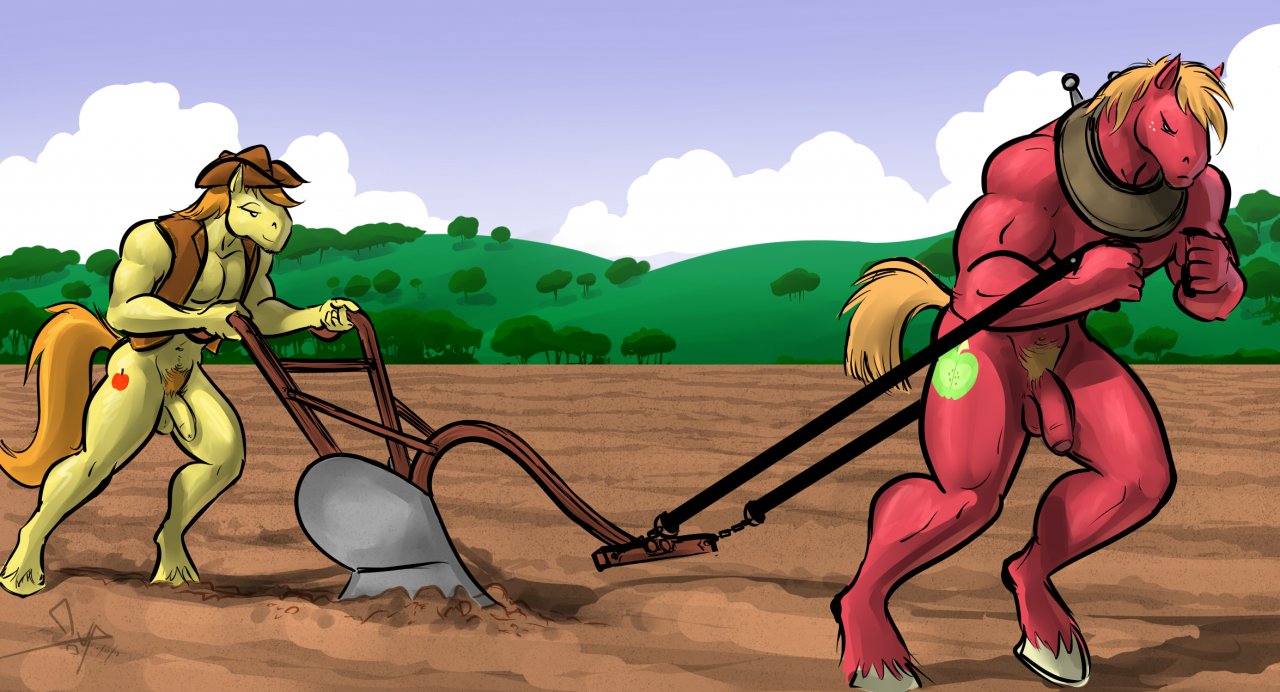 Rule34 – If it exists, there is porn of it / bgn, big macintosh (mlp), braeburn / 316833