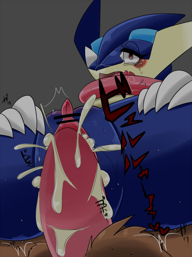 Rule34 – If it exists, there is porn of it / achi, greninja, ursaring / 317013