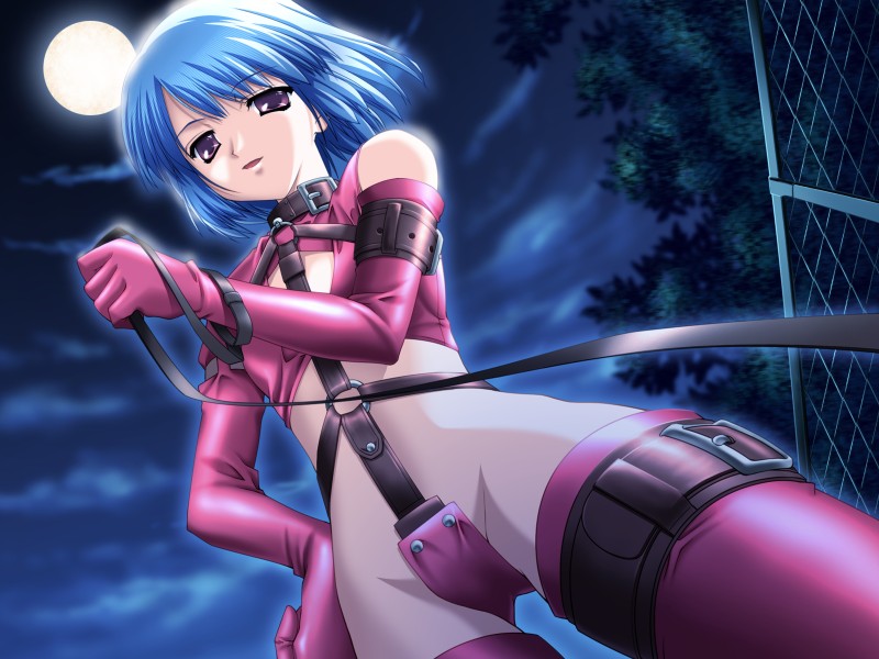 imouto watashi donna koto datte…, game cg, 1girl, bdsm, blue hair, breasts, cloud, collar, dominatrix, female focus, femdom, from below, holding, holding leash, leash, leather, moon, night, outdoors, plant, pov, purple eyes, sky, small breasts, solo, standing, strap, thighhighs, viewer on leash