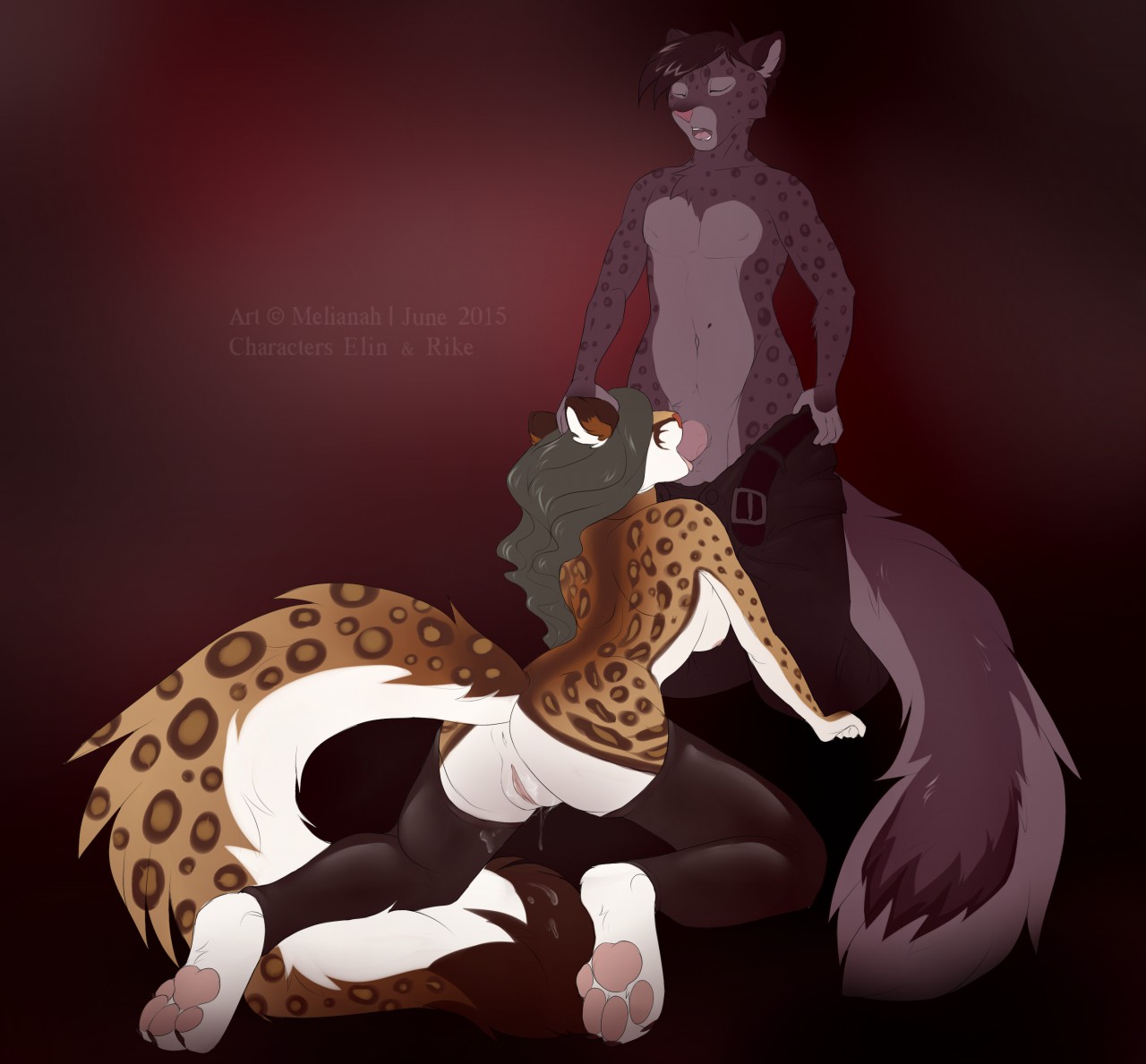 Rule34 – If it exists, there is porn of it / melianah, elinsy (melianah), rike (melianah) / 317574