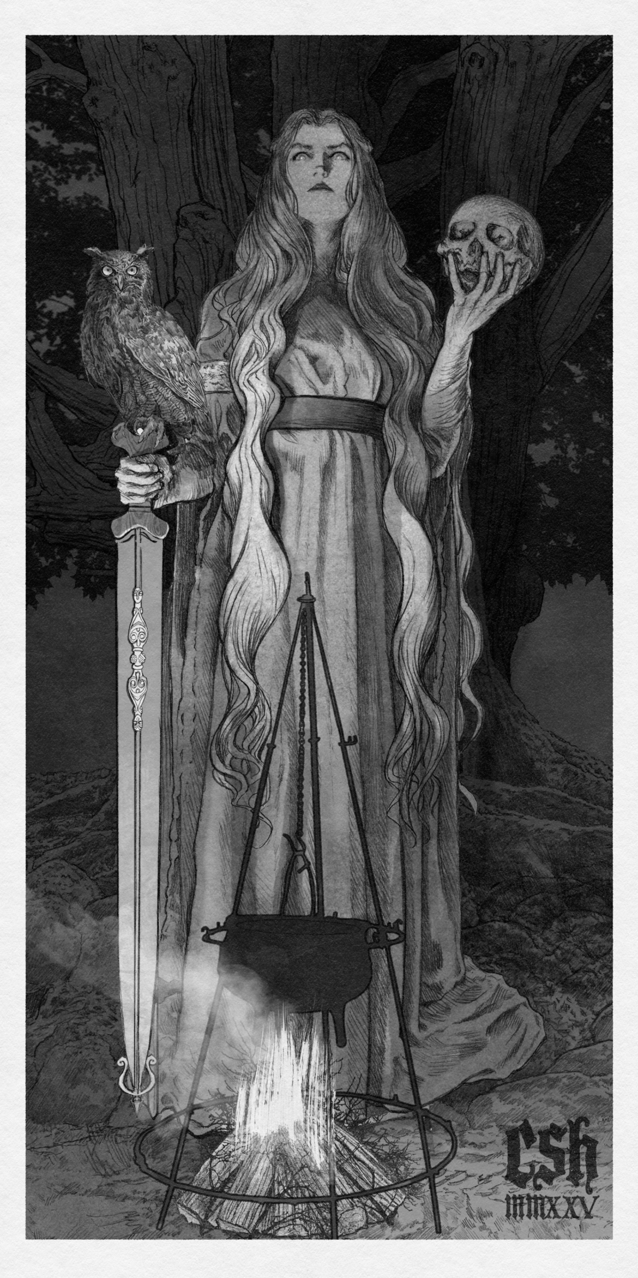 christian sloan hall, arthurian legend, absurdres, graphite (medium), highres, traditional media, 1girl, artist name, belt, bird, cooking pot, fire, fire pit, holding, holding skull, holding sword, holding weapon, log, long hair, looking at viewer, monochrome, morgan le fay (mythology), owl, robe, skull, sword, tree, very long hair, weapon