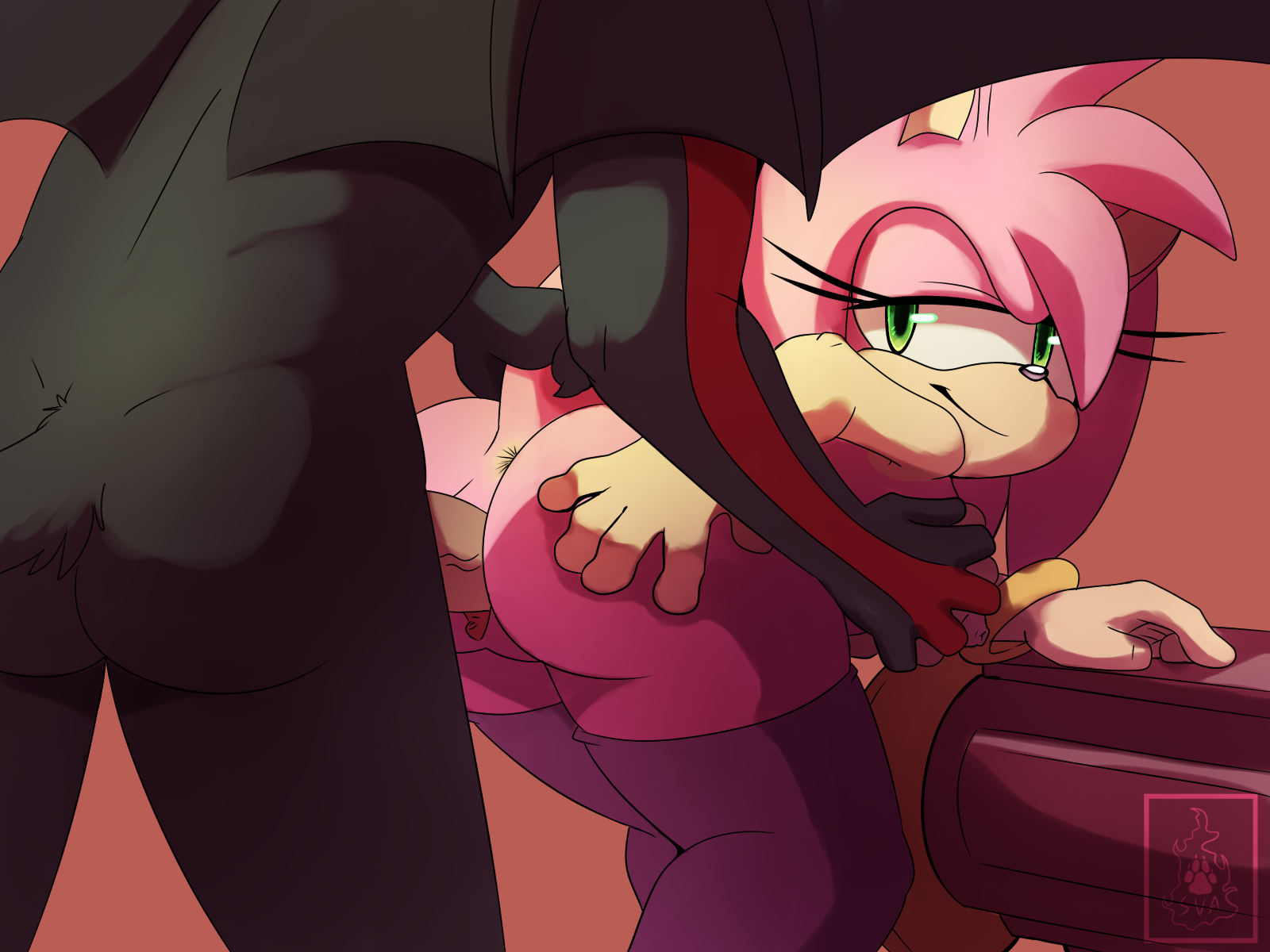 Rule34 – If it exists, there is porn of it / skyeprower, skyevixensartwork, amy rose, shadow the hedgehog / 317639