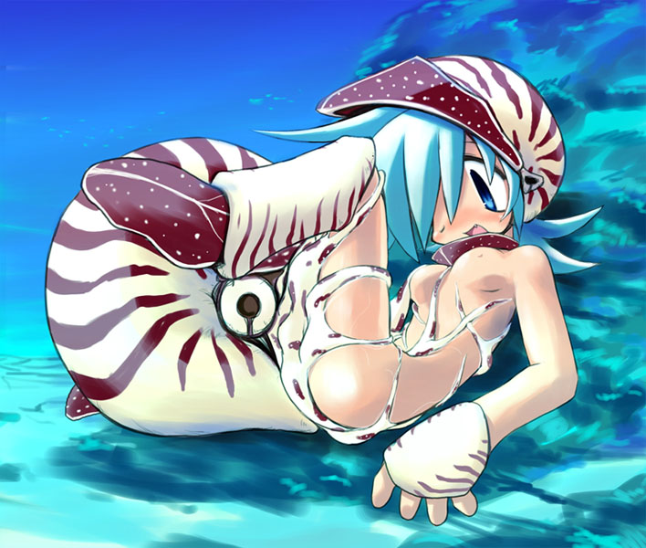 sakaki (noi-gren), tagme, bestiality, monster girl, nautilus (animal), octopus, tentacles