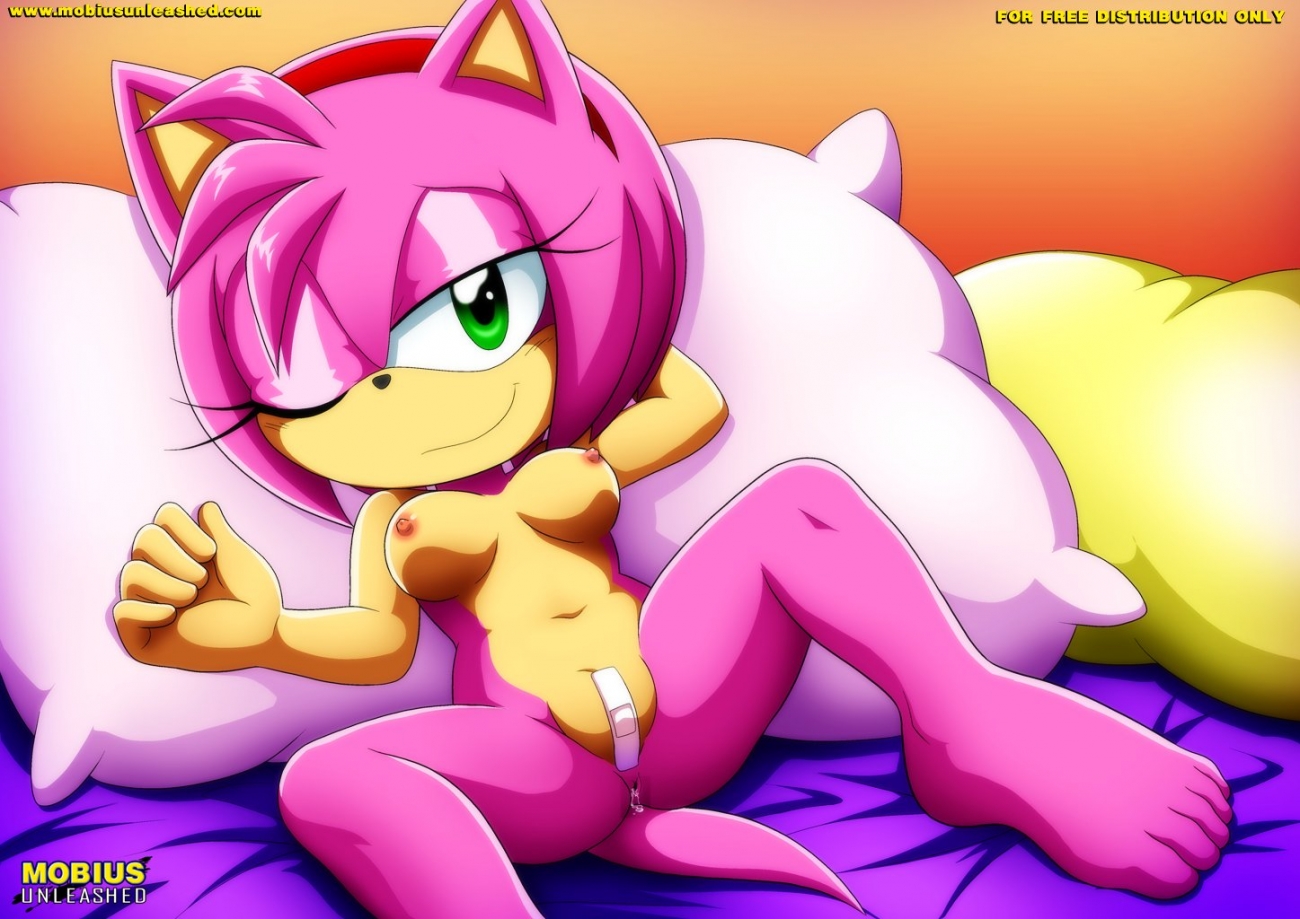 Rule34 – If it exists, there is porn of it / bbmbbf, palcomix, palcomix vip, amy rose / 317994