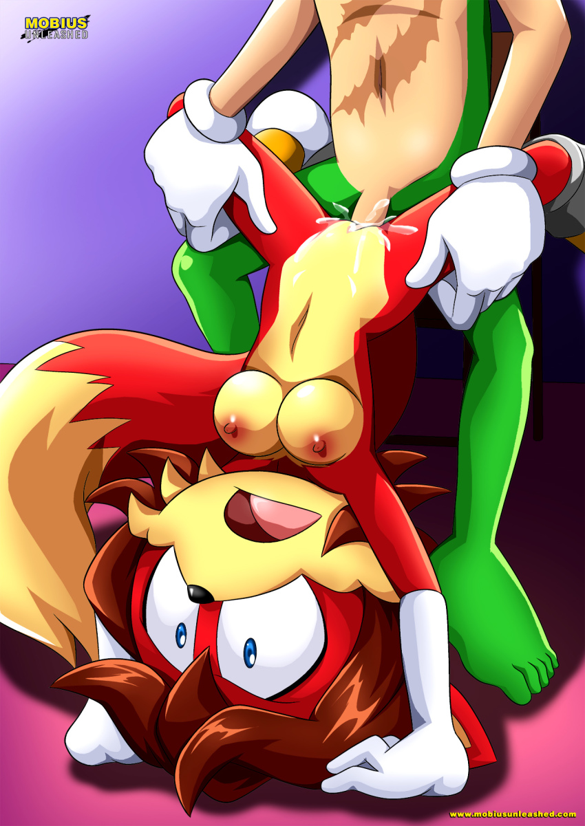 Rule34 – If it exists, there is porn of it / bbmbbf, palcomix, palcomix vip, fiona fox, scourge the hedgehog / 318057