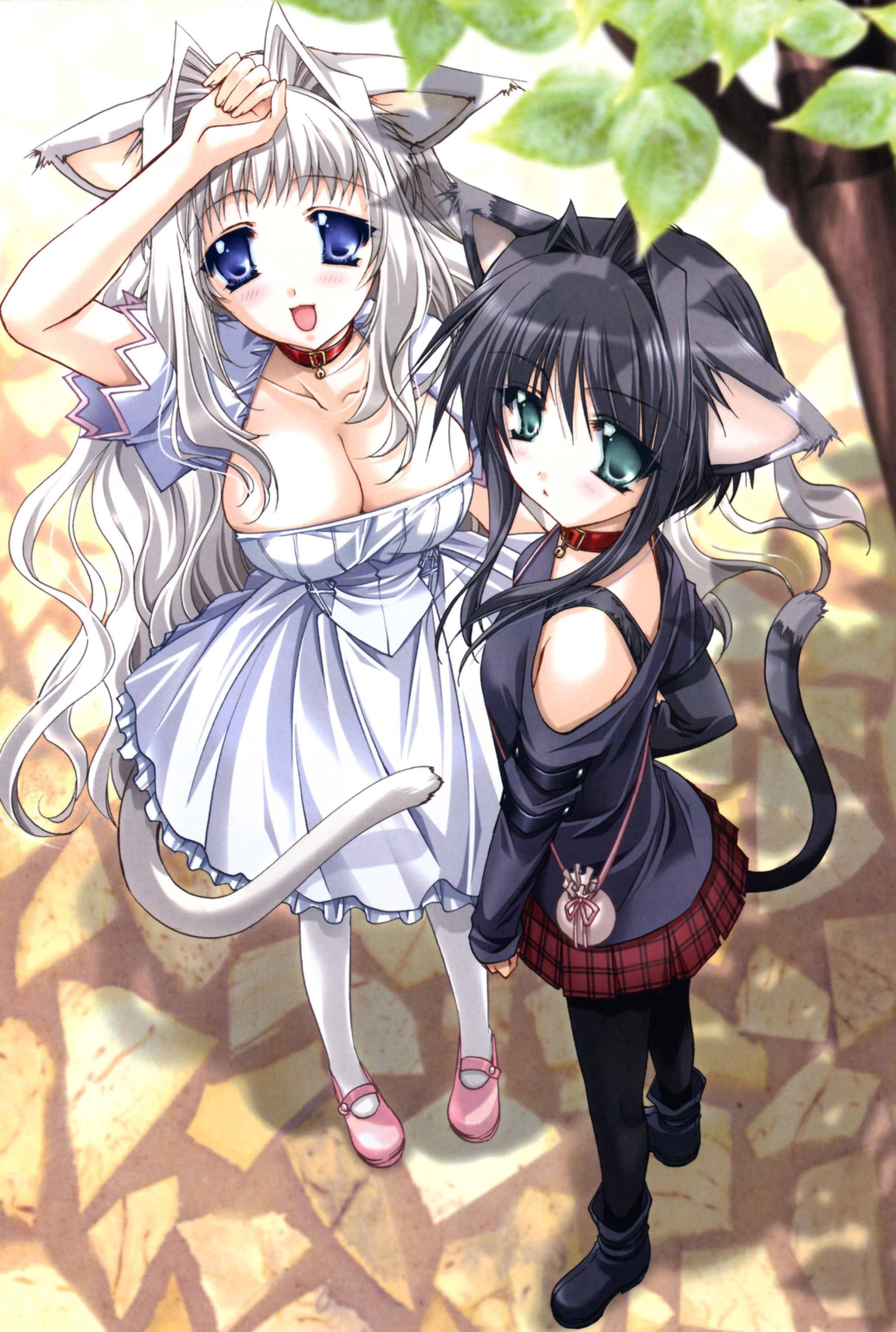 ryuuga shou, absurdres, highres, 2girls, animal ears, black hair, blue eyes, breasts, cleavage, green eyes, large breasts, multiple girls, pantyhose, tail, white hair