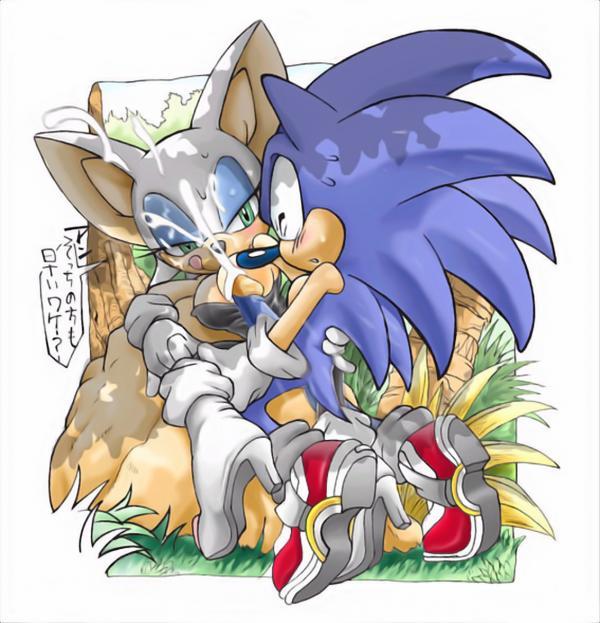 erosuke, rouge the bat, sonic the hedgehog, sonic (series), furry, high heels