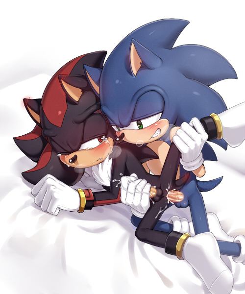 Rule34 – If it exists, there is porn of it / 7624cq, shadow the hedgehog, sonic the hedgehog / 318953