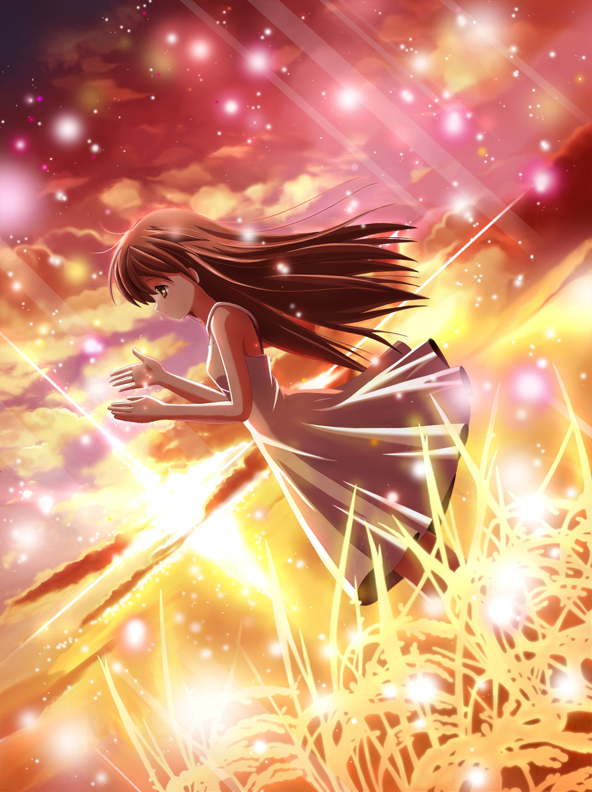 chocolat., girl from the illusionary world, clannad, highres, 00s, brown eyes, brown hair, dress, dutch angle, grass, long hair, solo, sparkle, sundress, sunset