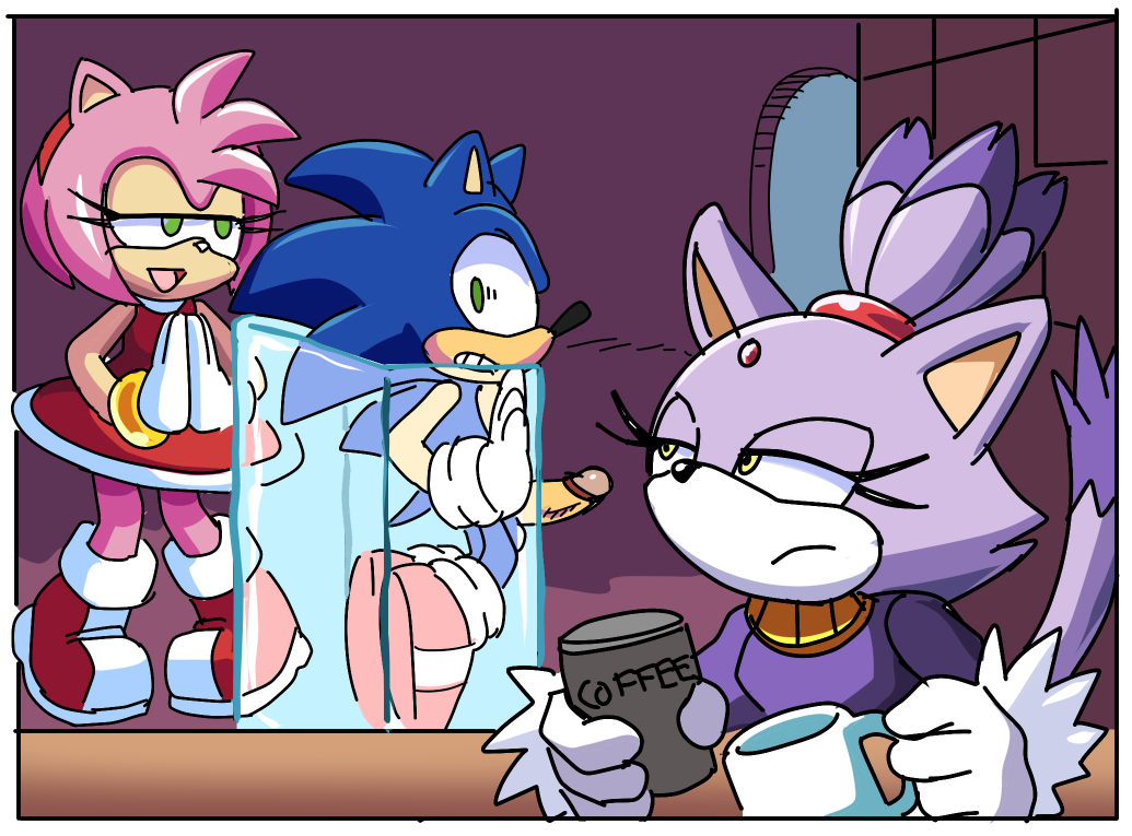 Rule34 – If it exists, there is porn of it / coolblue, amy rose, blaze the cat, sonic the hedgehog / 320356