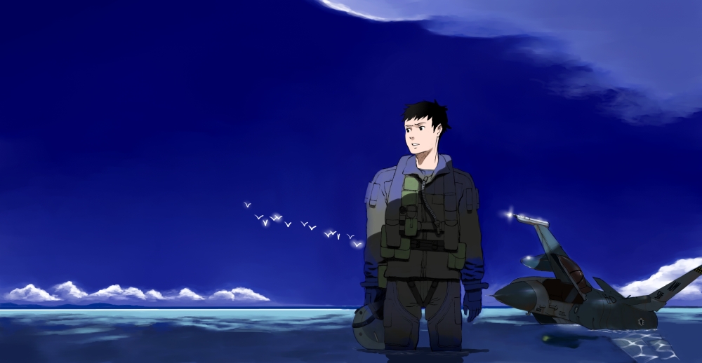 shiira, f-16, bad id, bad pixiv id, 1boy, aircraft, airplane, bird, cloud, day, male focus, ocean, pilot, sky, solo, submerged, water