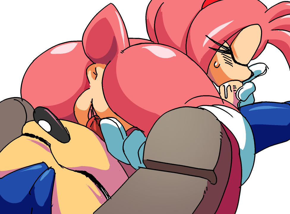 Rule34 – If it exists, there is porn of it / coolblue, amy rose, sonic the hedgehog / 320509