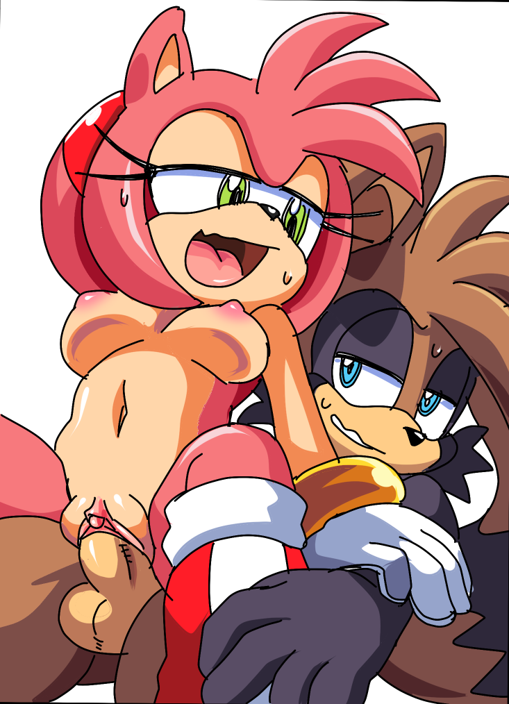 Rule34 – If it exists, there is porn of it / coolblue, amy rose / 320809