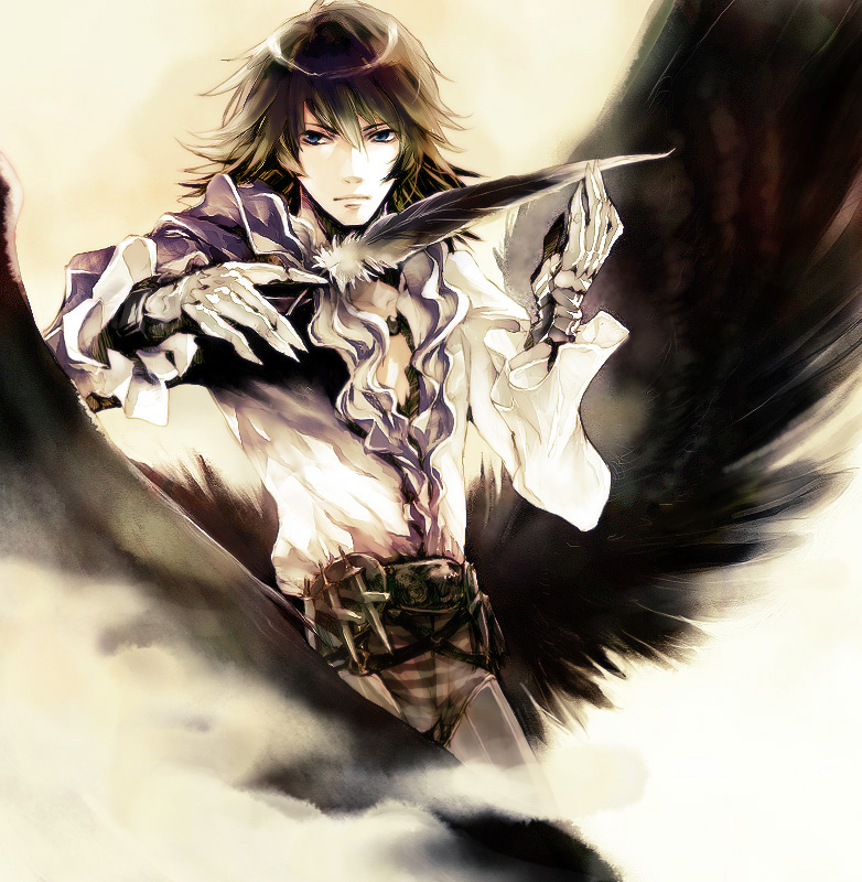 wako, caim (drag-on dragoon), drag-on dragoon, lord of vermilion, bad id, bad pixiv id, 1boy, black wings, feathers, frills, gathers, gauntlets, knife, male focus, solo, wings