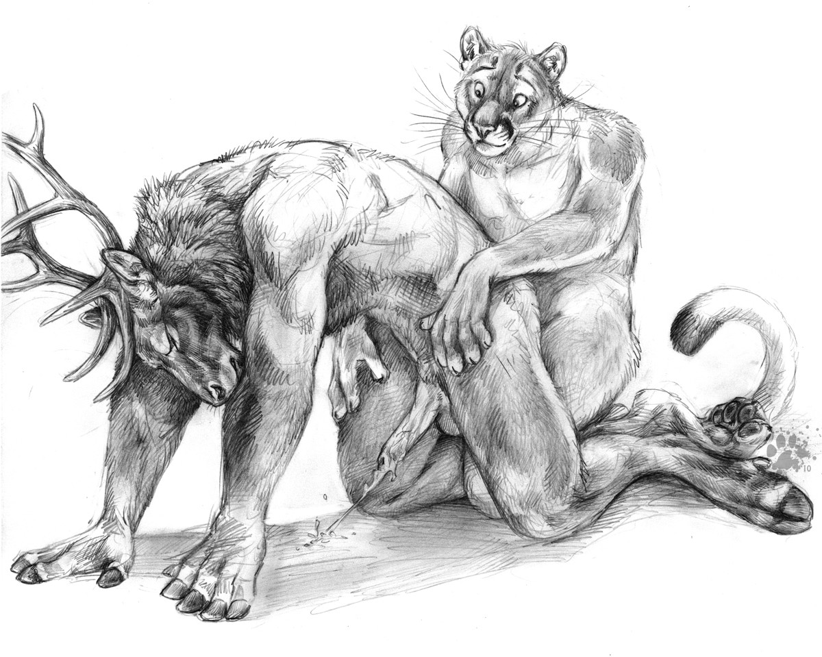 Rule34 – If it exists, there is porn of it / blotch, gak / 321145