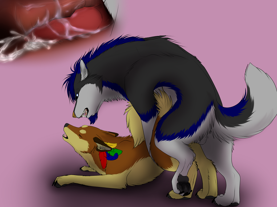 Rule34 – If it exists, there is porn of it / alpha, hashire, zekestar / 321398