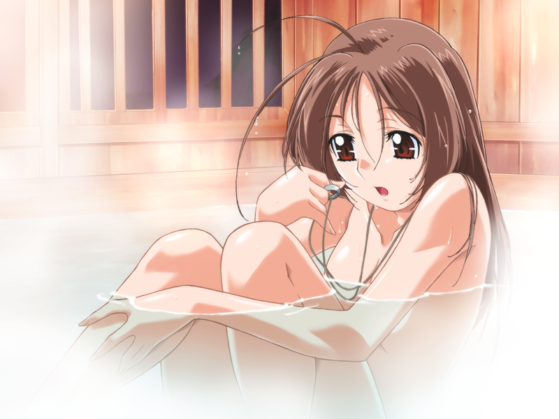gan-chan (artist), ousaka hikari, hitozuma sentai aisaiger, game cg, non-web source, official art, variant set, 1girl, :o, ahoge, antenna hair, bath, bathing, breasts, brown eyes, brown hair, completely nude, convenient arm, convenient censoring, from side, hair between eyes, holding, hugging own legs, indoors, knees up, long hair, medium breasts, nude, onsen, open mouth, partially submerged, red eyes, sitting, solo, steam, water, wet, wet hair, whistle, wooden wall