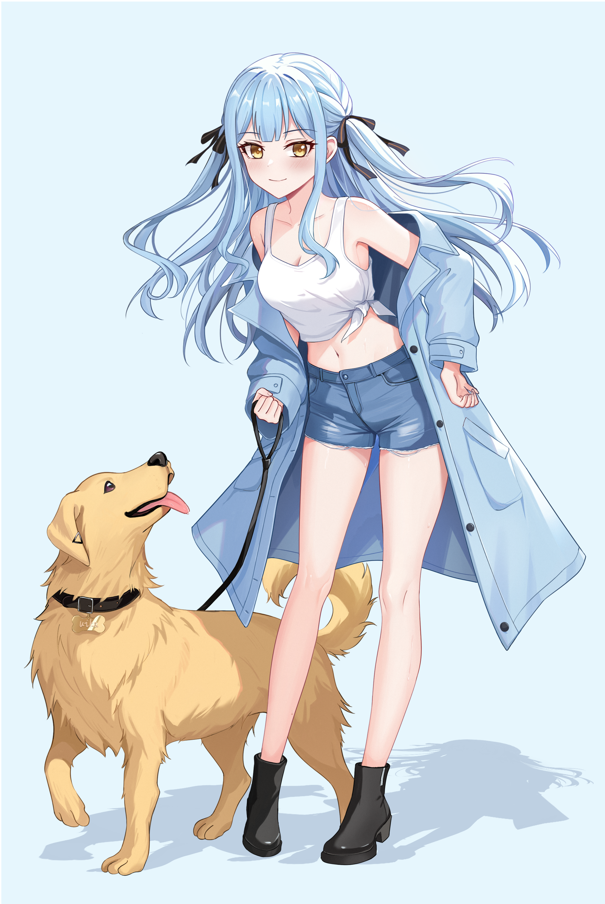 xiongji z z, togawa sakiko, bang dream!, bang dream! it's mygo!!!!!, absurdres, commentary, highres, 1girl, bare legs, black boots, black ribbon, blue hair, blue jacket, blue shorts, boots, breasts, cleavage, collar, collarbone, crop top, dog, full body, golden retriever, hair ribbon, holding, holding leash, jacket, leaning forward, leash, long sleeves, navel, ribbon, shorts, simple background, two side up, yellow eyes