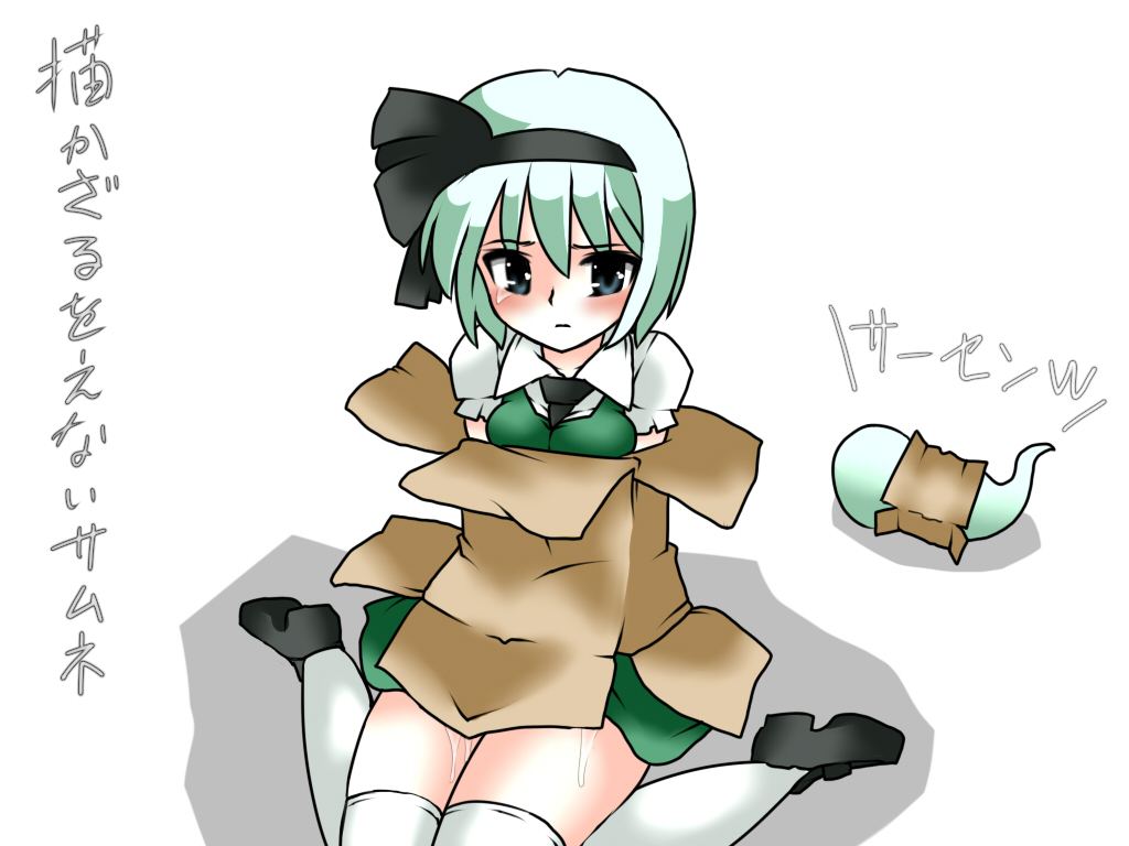 lilish, konpaku youmu, konpaku youmu (ghost), touhou, translated, 1girl, box, cardboard box, female focus, hitodama, pussy juice, solo, tears, thighhighs