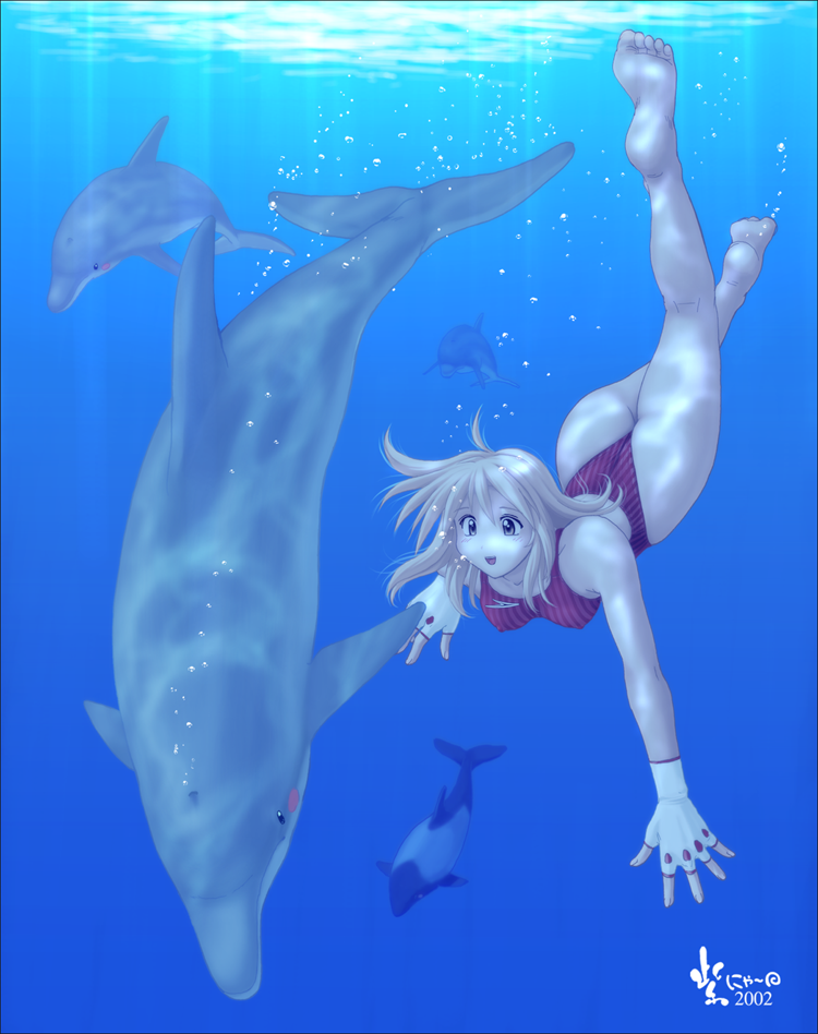 nyanko batake, high cut kingdom, competition swimsuit, diving, dolphin, freediving, one-piece swimsuit, swimming, swimsuit, underwater