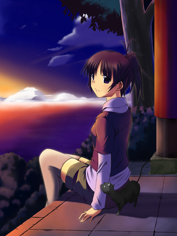 koikeya, original, bad id, bad pixiv id, md5 mismatch, 1girl, brown hair, cat, female focus, ponytail, purple eyes, shorts, sitting, skyline, solo, thighhighs