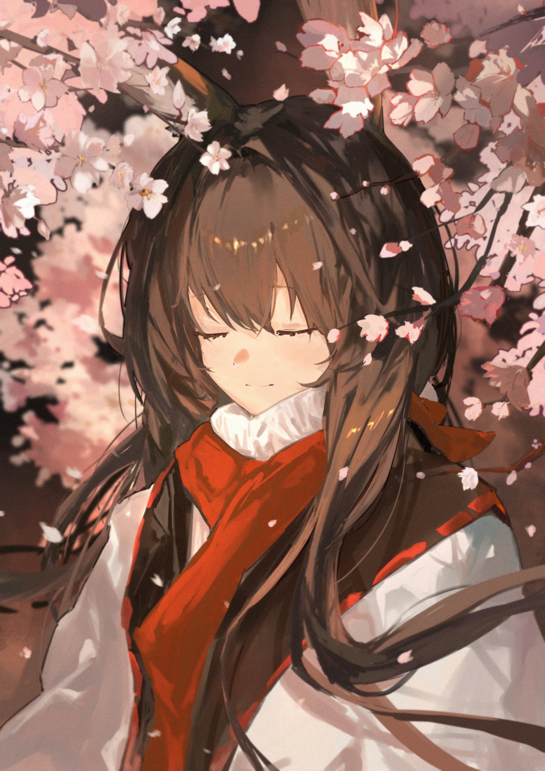 kissshotmagia, amiya (arknights), arknights, absurdres, highres, 1girl, black hair, cherry blossoms, closed eyes, closed mouth, coat, falling petals, hair between eyes, long hair, petals, red scarf, scarf, solo, straight hair, sweater, white coat, white sweater