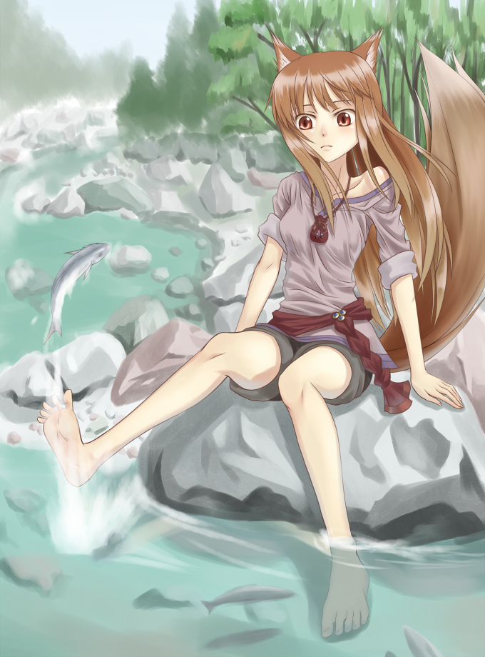 sukua, tk28, holo, spice and wolf, 00s, 1girl, animal ears, barefoot, brown eyes, brown hair, feet, female focus, fish, long hair, river, sitting, sleeves rolled up, soaking feet, solo, stream, tail, water, wolf ears, wolf tail