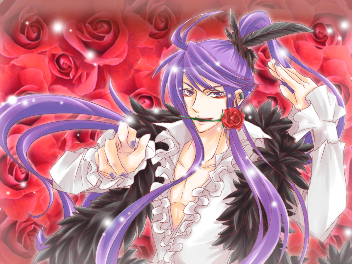 haru aki, kamui gakupo, vocaloid, 1boy, feathers, flower, flower in mouth, male focus, mouth hold, nail polish, purple eyes, purple hair, red rose, rose, solo