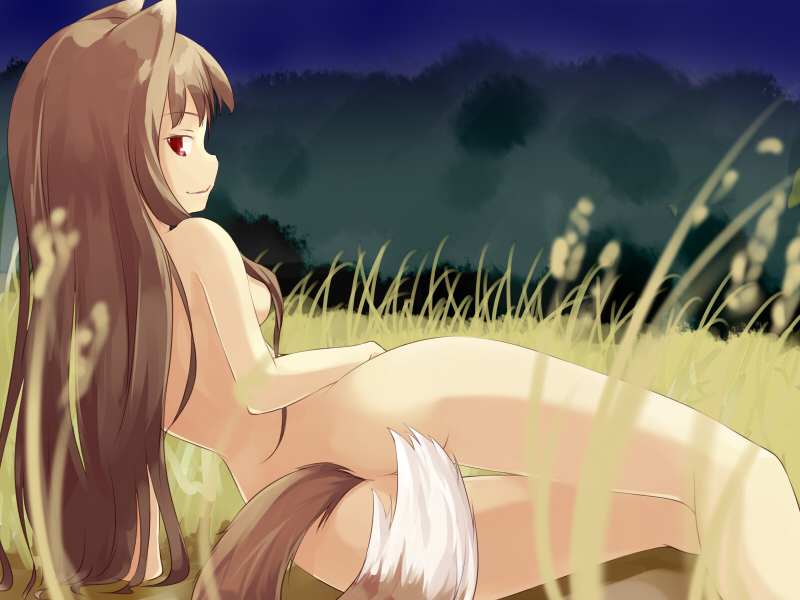 kuro (be ok), holo, spice and wolf, bad id, bad pixiv id, 00s, 1girl, animal ears, arm support, ass, censored, convenient censoring, female focus, from behind, hair censor, hair over breasts, long hair, looking at viewer, looking back, lying, nude, on side, smile, solo, tail, tail censor, thigh gap, thighs, wheat, wolf ears, wolf tail