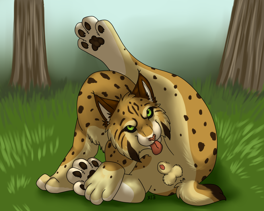 Rule34 – If it exists, there is porn of it / / 323593