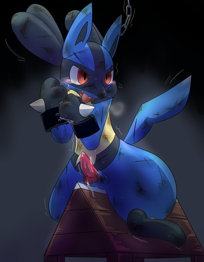 Rule34 – If it exists, there is porn of it / kurou-karasu, lucario / 323597